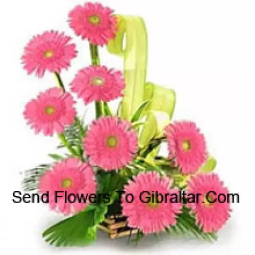 Cesto com 9 Gerberas Rosa com Enchedores