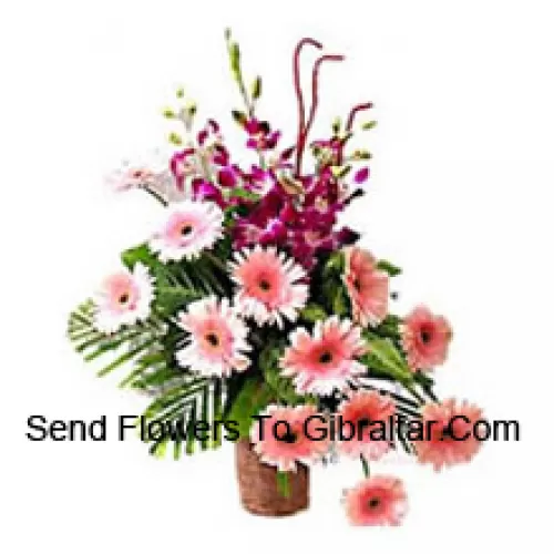 Basket Of Orchids And Gerberas