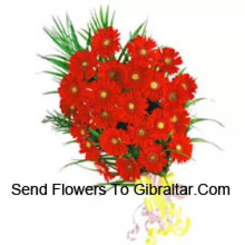 Bouquet de 25 Gerberas Rouges