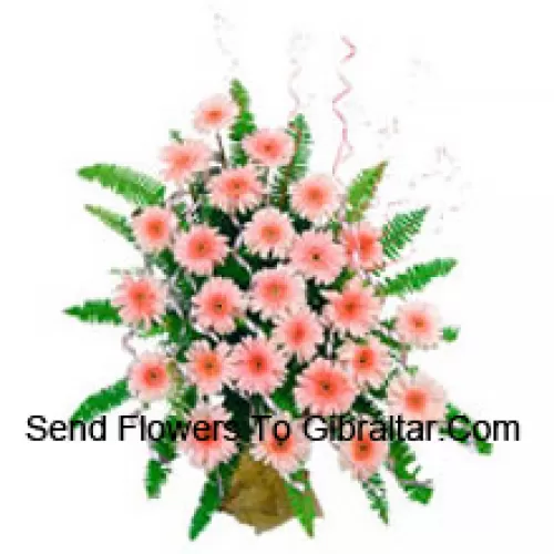 Cos cu 25 Gerberas roz