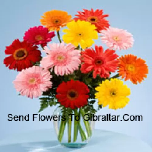 11 Gerberas Mélangés de Couleurs Dans un Vase