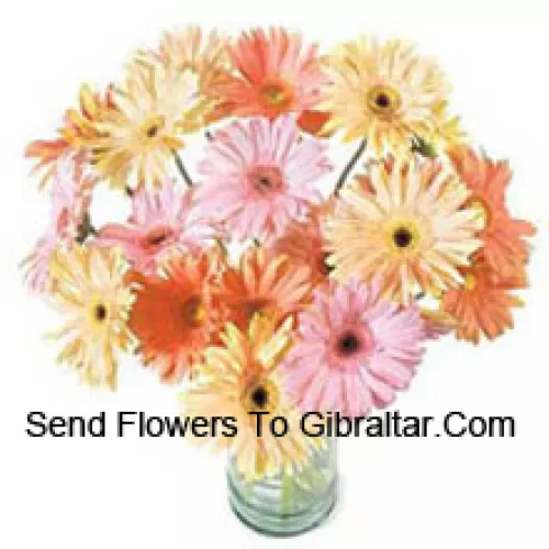 25 Gerberas de Colores Variados en un Jarrón