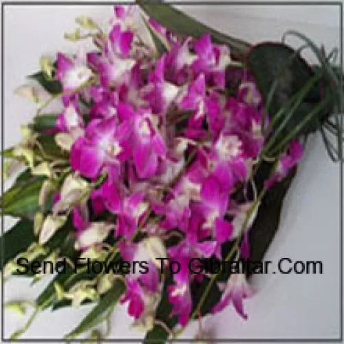 Bunch Of Orchids With Seasonal Fillers