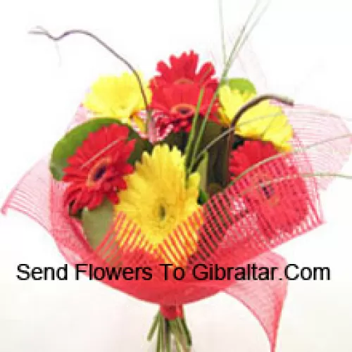 Buchet de 11 gerberas colorate mixte